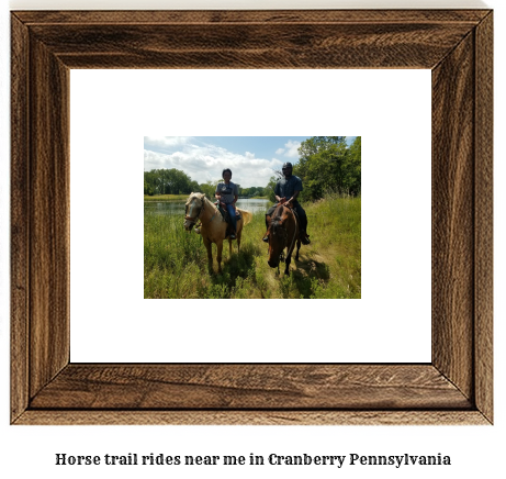 horse trail rides near me in Cranberry, Pennsylvania